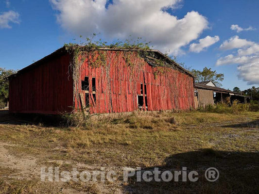 Photo - Abandoned Cumbest Sawmill in Three Rivers, Mississippi- Fine Art Photo Reporduction