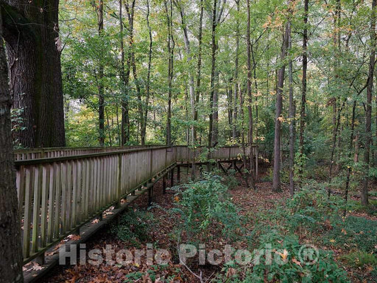 Photo - Beginning of a nature walk through the woods at the Mississippi Agriculture and Forestry Museum, better known locally as simply the Mississippi Ag Museum