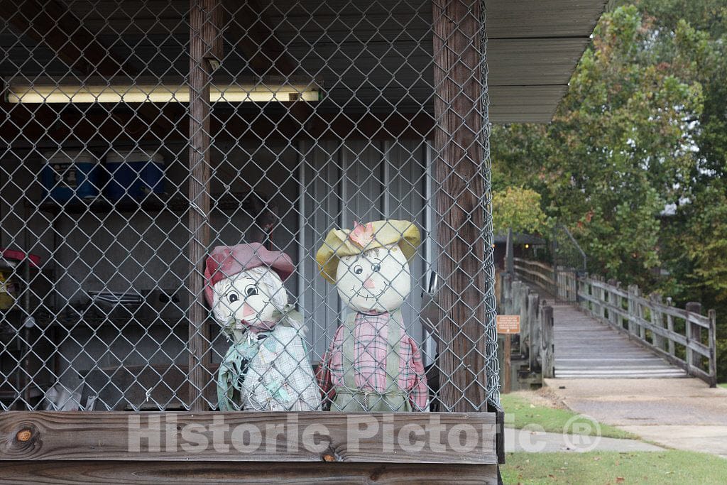 Photo - Countrified Characters Peer Out from a Corner of The Crawdad Hole Seafood Shack in Jackson, The Capital City of Mississippi- Fine Art Photo Reporduction