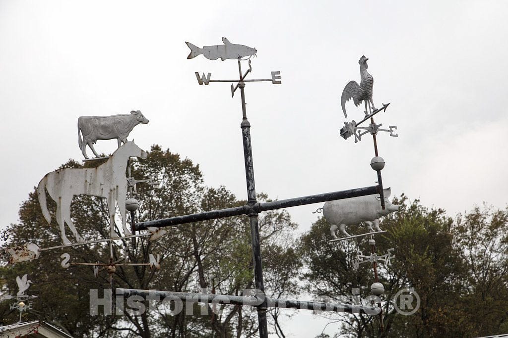 Photo - Weather Vane Featuring Farm-Animal Figures at The Mississippi Agriculture and Forestry Museum, Better Known Locally as Simply The Mississippi Ag Museum