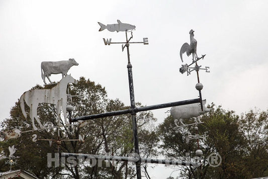 Photo - Weather Vane Featuring Farm-Animal Figures at The Mississippi Agriculture and Forestry Museum, Better Known Locally as Simply The Mississippi Ag Museum