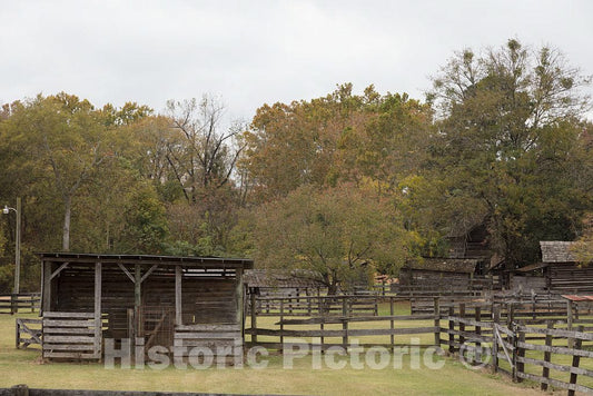 Photo - View of The Mississippi Agriculture and Forestry Museum, Better Known Locally as Simply The Mississippi Ag Museum- Fine Art Photo Reporduction