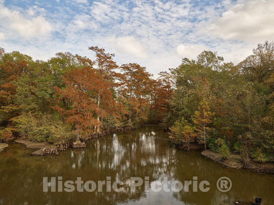 Photo - Fall Colors are not as replete in The Southern U.S- Fine Art Photo Reporduction
