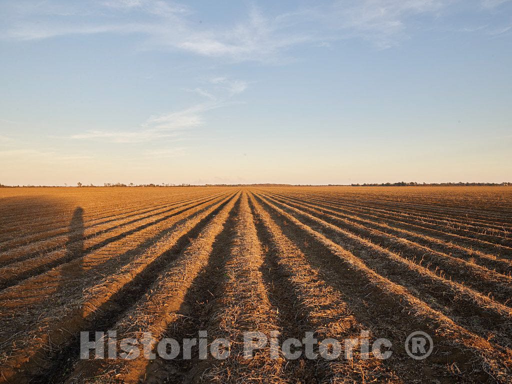 Photo - Plowed Cotton Fields, Ready for Next Year's Planting, on The Hopson Plantation site on The outskirts of Clarksdale, in Mississippi's Delta Region