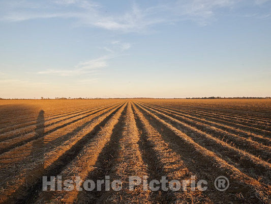 Photo - Plowed Cotton Fields, Ready for Next Year's Planting, on The Hopson Plantation site on The outskirts of Clarksdale, in Mississippi's Delta Region