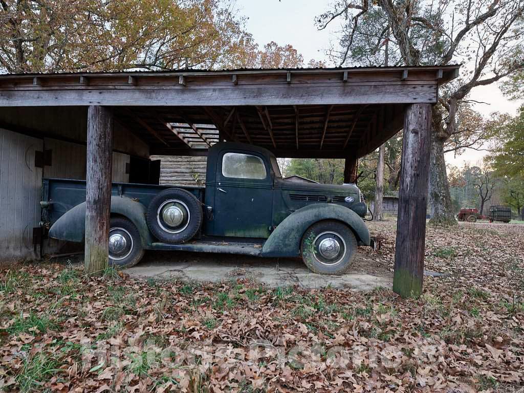 Photo- Sheltered 1943 Ford Truck at Prodigal Farm, Near Durham in Rougemont, North Carolina 1 Fine Art Photo Reproduction