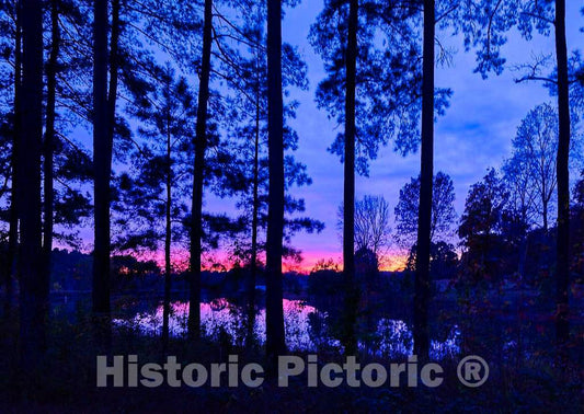 Photo - Sunset Through The Trees in Rougemont, Near Durham, North Carolina- Fine Art Photo Reporduction