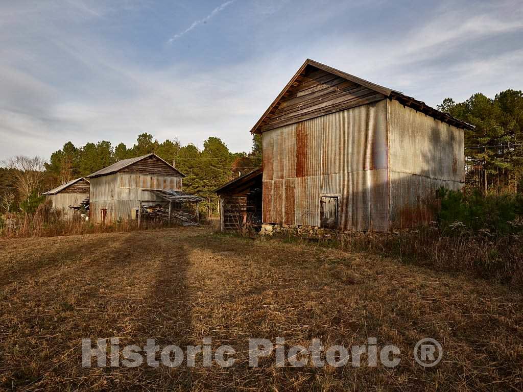 Photo - Two of Several Tobacco barns at Prodigal Farm, Near Durham in Rougemont, North Carolina- Fine Art Photo Reporduction