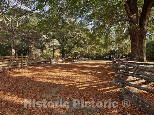 Photo- Grounds at Bennett Place, Also Known as Bennett Farm, a North Carolina Historic Site in Durham County 3 Fine Art Photo Reproduction