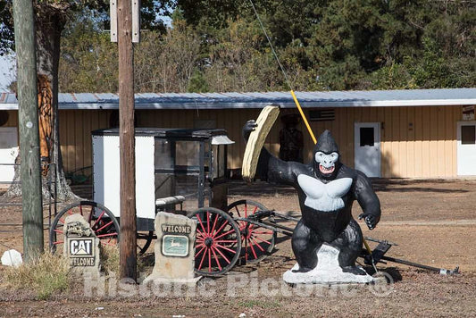 Photo - A Large Piece of Painted Wood Takes The Place of a Banana in The Hands of a Gorilla Figure That Stands, for Reasons unexplained, in a Yard in Marks, Mississippi