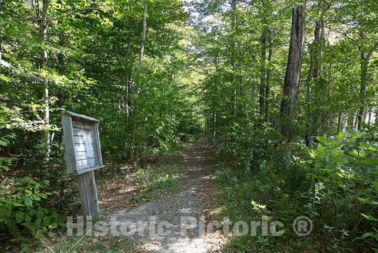 Photo - One Entree Point to The Webster Cliff Trail, which is a Small Piece of The Iconic Appalachian Trail, Near Bartlett, New Hampshire- Fine Art Photo Reporduction