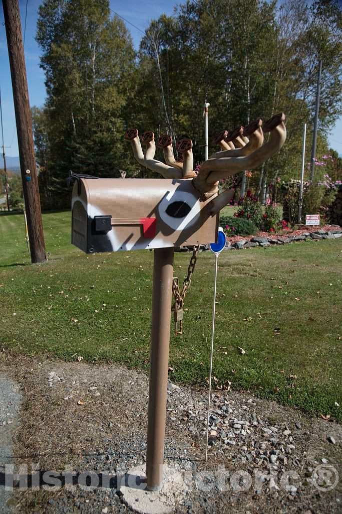 Photo - As this moose-themed mailbox near Lunenburg, New Hampshire, attests, these large- Fine Art Photo Reporduction