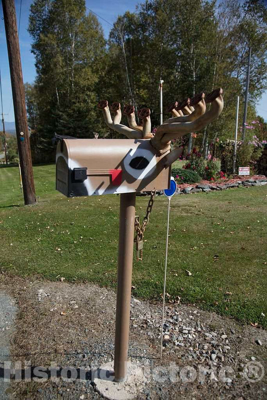 Photo - As this moose-themed mailbox near Lunenburg, New Hampshire, attests, these large- Fine Art Photo Reporduction