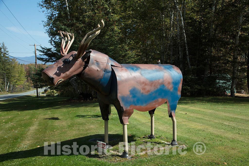 Photo - Metal moose art on a lawn in Lunenburg, New Hampshire- Fine Art Photo Reporduction