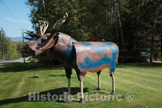Photo - Metal moose art on a lawn in Lunenburg, New Hampshire- Fine Art Photo Reporduction