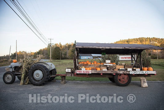 Photo - A self-Serve Pumpkin Market on a Tractor Wagon Near East Burke, Vermont. The gourds are unattended, and Payment for Them is on The Honor System