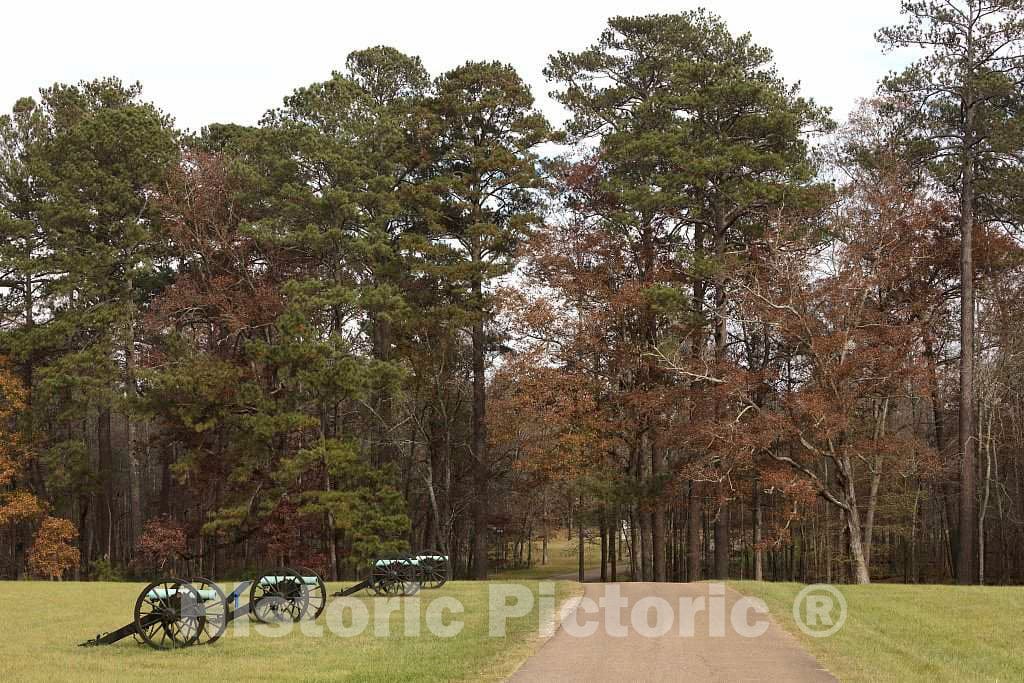Photo- Battery H Cannons of The 4th U.S. Artillery at The Chickamauga Portion of The Chickamauga & Chattanooga National Military Park 1 Fine Art Photo Reproduction