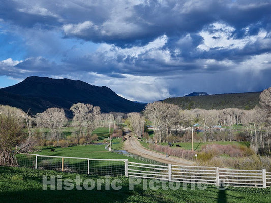 Photograph- Scene at the Ladder Livestock Ranch, on the Colorado border near Savery, Wyoming. The ranch operates in both states, running sheep in Wyoming and cattle across the road in Colorado