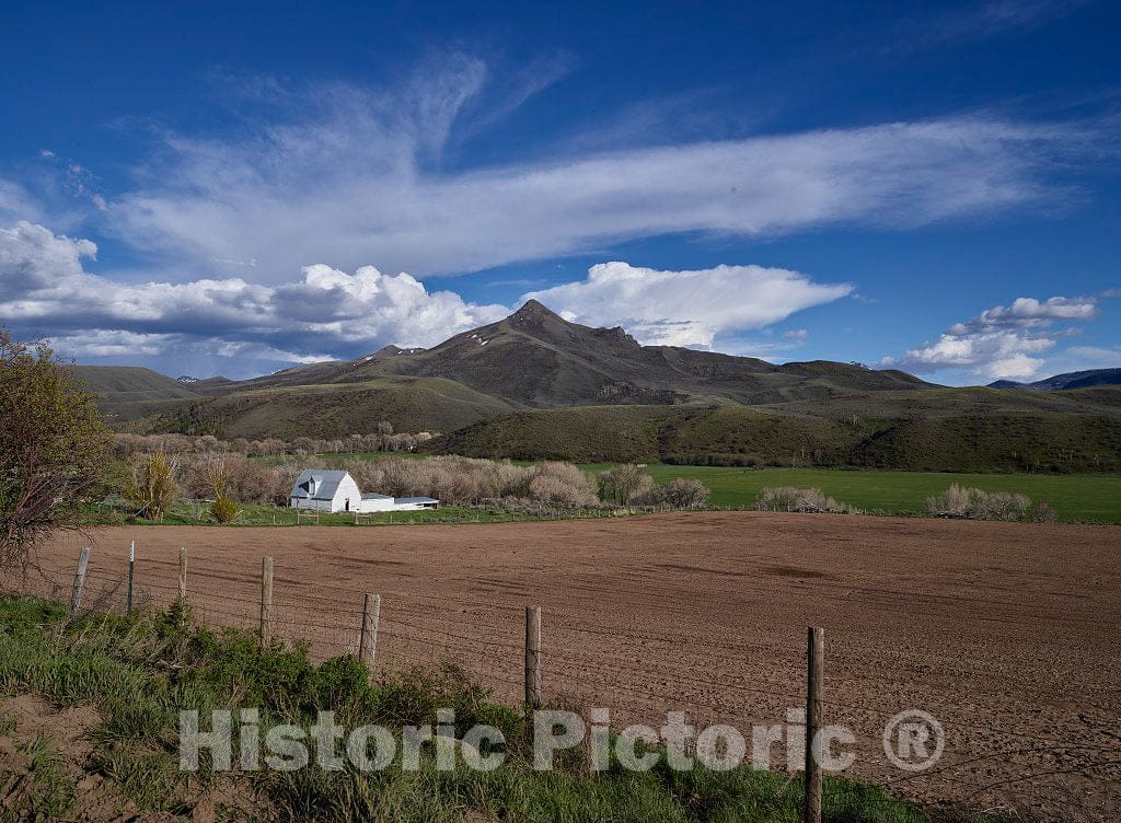 Photo- Scene at The Ladder Livestock Ranch, on The Colorado Border Near Savery, Wyoming. The Ranch operates in Both States, Running Sheep in Wyoming and Cattle in Colorado 5