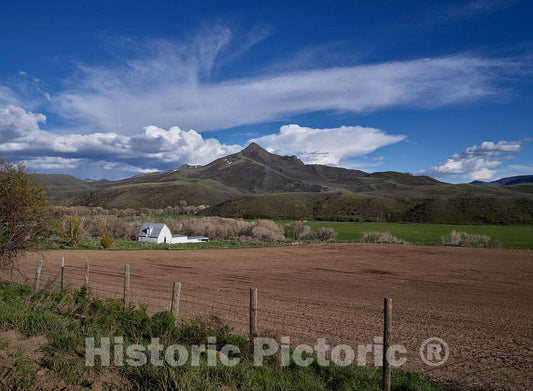 Photo- Scene at The Ladder Livestock Ranch, on The Colorado Border Near Savery, Wyoming. The Ranch operates in Both States, Running Sheep in Wyoming and Cattle in Colorado 5