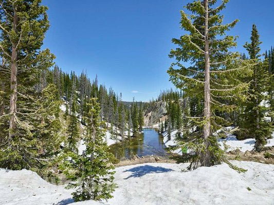 Photo- View of Lake Marie in Wyoming's Snowy Range, Between Saratoga and Laramie 5 Fine Art Photo Reproduction