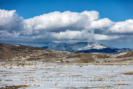 Photo- A Clear, Cold Winter's Day in Rugged and Remote Fremont County, Wyoming 7 Fine Art Photo Reproduction