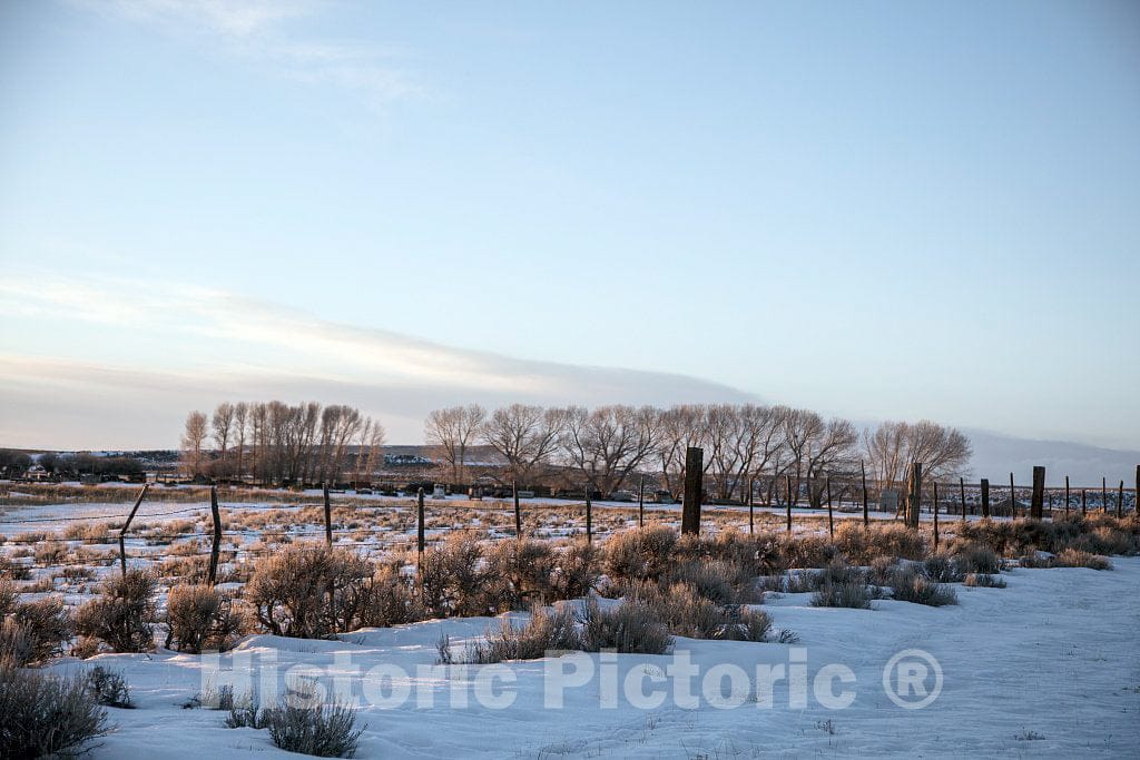 Photo - Barren Trees do Little to Cut The Bitter Wind on a Winter's Day in Rugged and Remote Fremont County, Wyoming- Fine Art Photo Reporduction