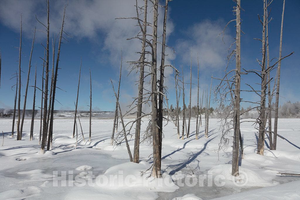 Photo- Temperatures often dip below freezing, but there's no cooling of the thermal features, including these at the Fountain Paint Pot location 6 Fine Art Photo Reproduction