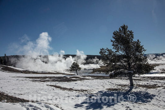 Photo- Temperatures often dip below freezing, but there's no cooling of the thermal features, including these at the Fountain Paint Pot location 10 Fine Art Photo Reproduction