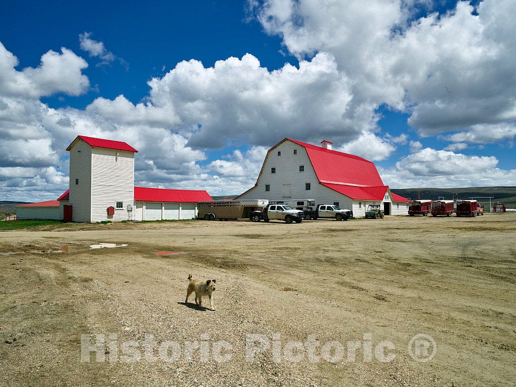 Photo - Tater The Ranch Dog has The Run of The Big Creek Cattle Ranch, a Huge Spread just Above The Colorado line Near Riverside in Carbon County, Wyoming