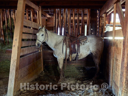Photo - A Horse Cools Down After a Hard Day's Work at The Big Creek Cattle Ranch, a Huge Spread just Above The Colorado line Near Riverside in Carbon County, Wyoming