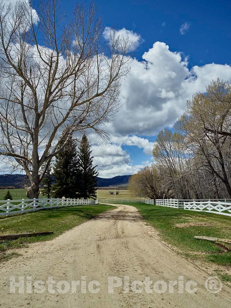 Photo - Road to The Cattle Pasture at The Big Creek Cattle Ranch, Near Riverside in Carbon County, Wyoming- Fine Art Photo Reporduction