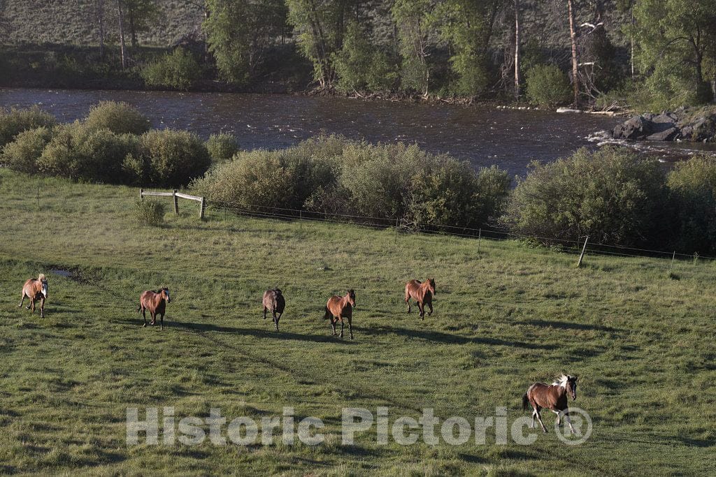 Photo- Horses Gallop in a Pasture at The A Bar A Guest Ranch, just Over The Colorado Border Near Riverside in Carbon County, Wyoming 2 Fine Art Photo Reproduction