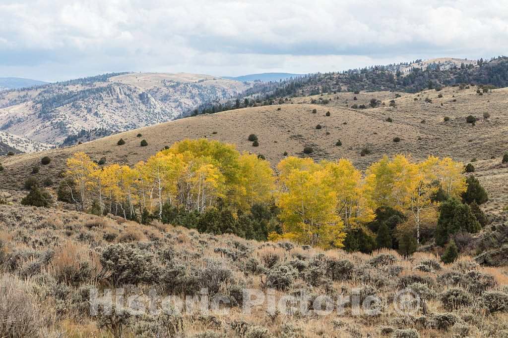 Photo- Fall Scene at The A Bar A Guest Ranch, just Over The Colorado Border Near Riverside in Carbon County, Wyoming 4 Fine Art Photo Reproduction