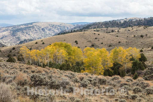 Photo- Fall Scene at The A Bar A Guest Ranch, just Over The Colorado Border Near Riverside in Carbon County, Wyoming 4 Fine Art Photo Reproduction