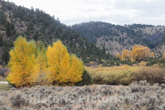 Photo- Fall Scene at The A Bar A Guest Ranch, just Over The Colorado Border Near Riverside in Carbon County, Wyoming 5 Fine Art Photo Reproduction