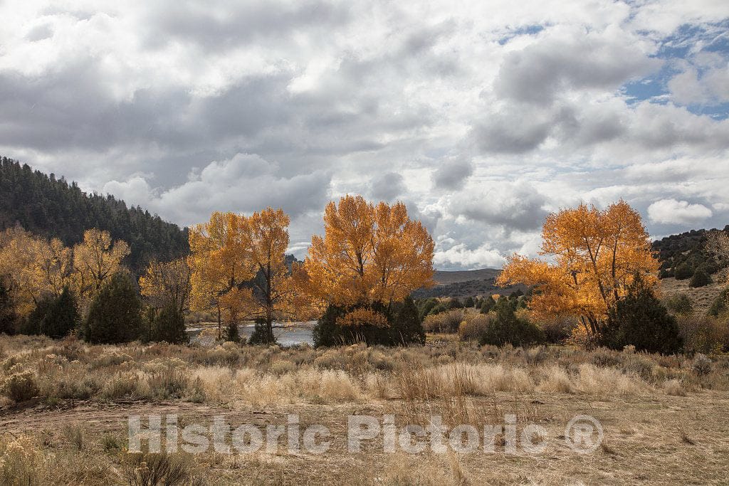 Photo- Fall Scene at The A Bar A Guest Ranch, just Over The Colorado Border Near Riverside in Carbon County, Wyoming 11 Fine Art Photo Reproduction