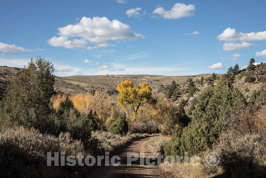 Photo- Fall Scene at The A Bar A Guest Ranch, just Over The Colorado Border Near Riverside in Carbon County, Wyoming 1 Fine Art Photo Reproduction