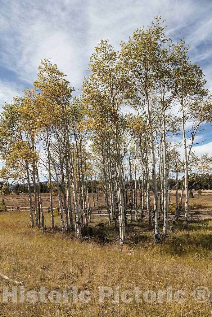 Photo- Fall Scene in Remote Sheridan County in North-Central Wyoming 1 Fine Art Photo Reproduction