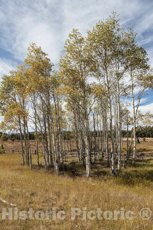Photo- Fall Scene in Remote Sheridan County in North-Central Wyoming 1 Fine Art Photo Reproduction