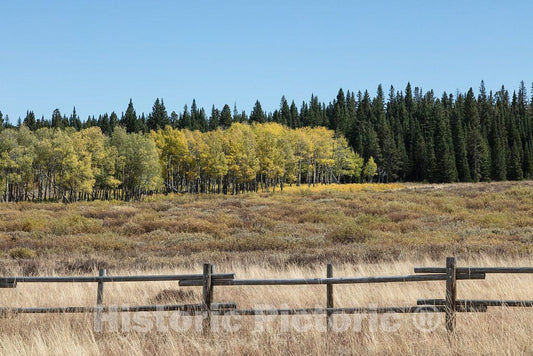 Photo- Fall Scene in Remote Sheridan County in North-Central Wyoming 2 Fine Art Photo Reproduction