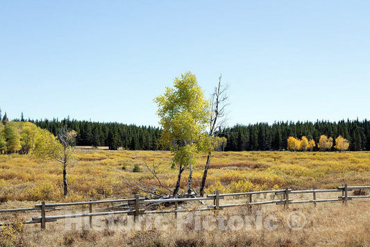 Photo- Fall Scene in Remote Sheridan County in North-Central Wyoming 3 Fine Art Photo Reproduction