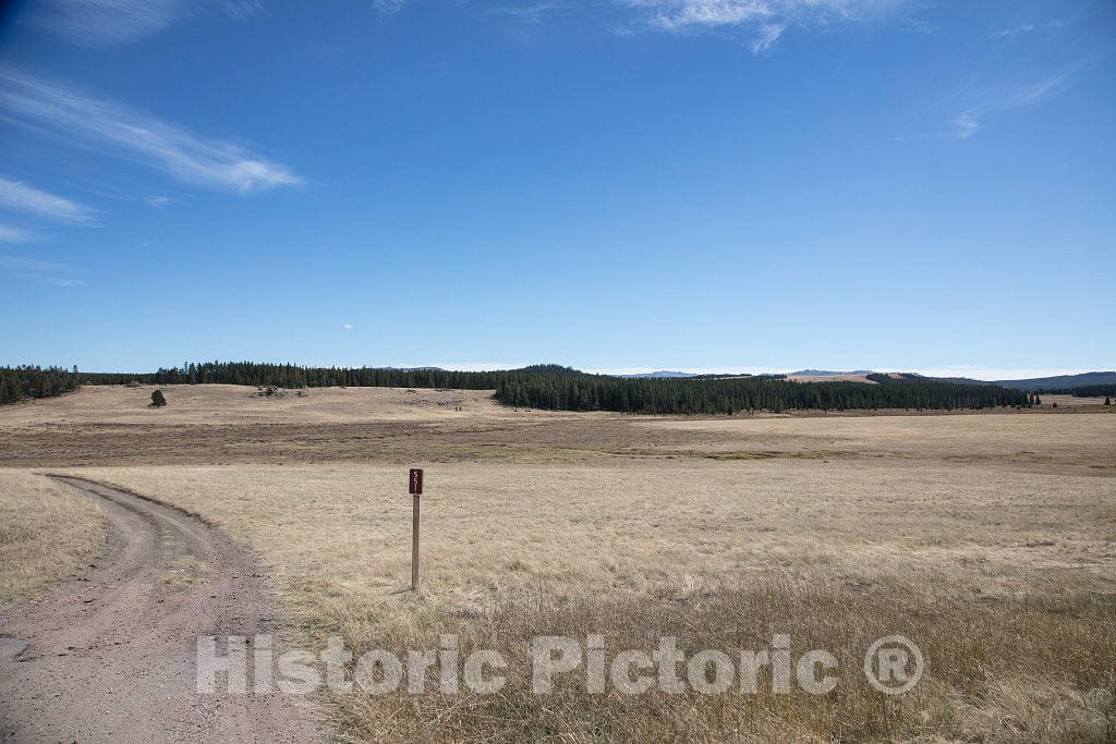 Photo - Desolate Sheridan County Road in North-Central Wyoming- Fine Art Photo Reporduction