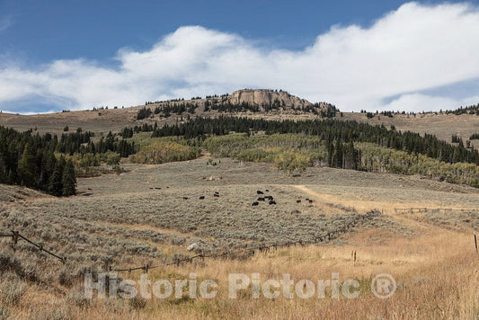 Photo- Remote Terrain in North-Central Wyoming's Big Horn County 3 Fine Art Photo Reproduction