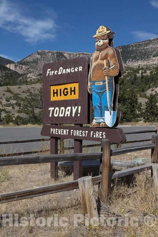 Photo - Smokey Bear, Long The Symbolic Mascot of The United States Forest Service- Fine Art Photo Reporduction