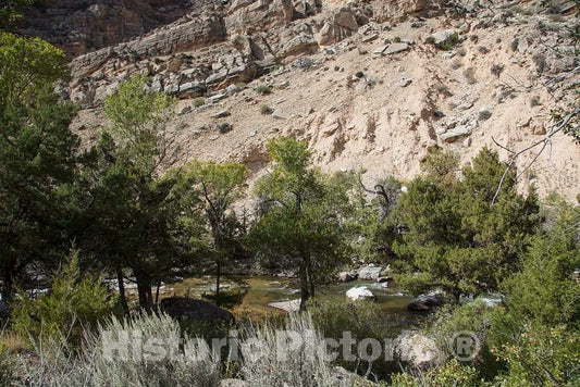 Photo- Cottonwood Gulch in Rugged North-Central Wyoming's Rugged Big Horn County 5 Fine Art Photo Reproduction
