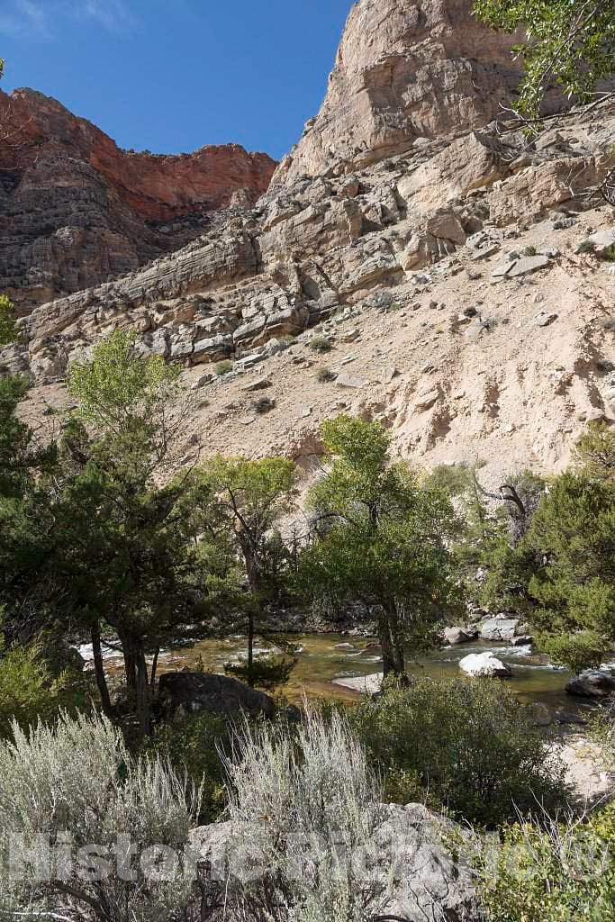 Photo- Cottonwood Gulch in Rugged North-Central Wyoming's Rugged Big Horn County 3 Fine Art Photo Reproduction