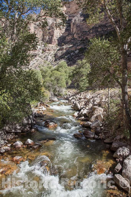 Photo - High-Country Stream and cottonwoods in Rugged North-Central Wyoming's Rugged Big Horn County- Fine Art Photo Reporduction