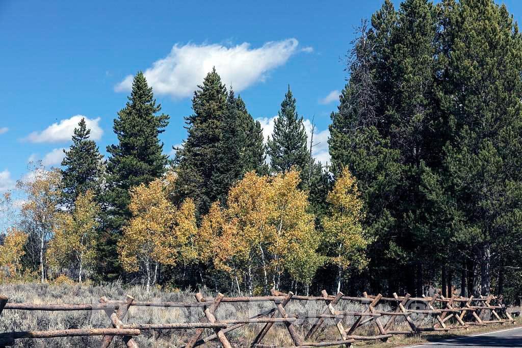 Photo - Split-Rail Fence in Grand Teton National Park in Northwest Wyoming. Other relatively Small portions of The Scenic Park Spill into Montana and Idaho