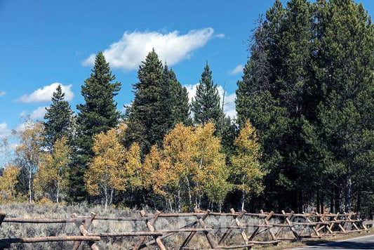 Photo - Split-Rail Fence in Grand Teton National Park in Northwest Wyoming. Other relatively Small portions of The Scenic Park Spill into Montana and Idaho